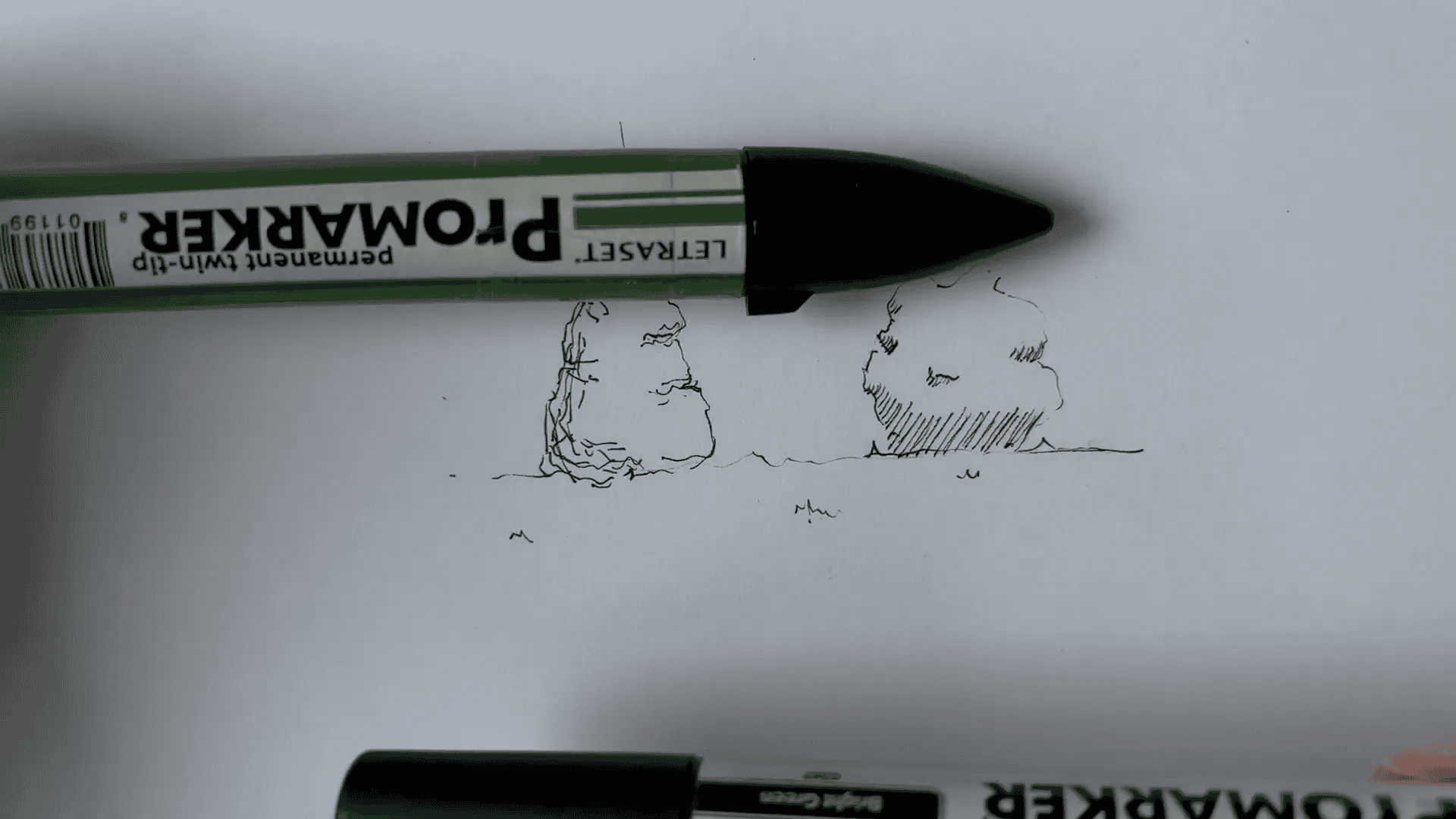 Feutres utilisés pour colorer la végétation