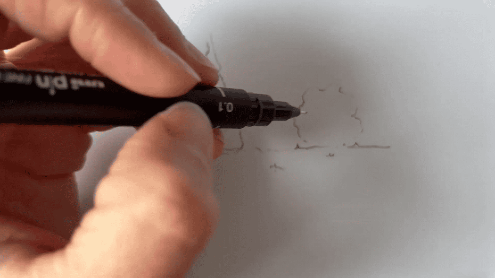 Dessin d'un buisson avec forme ronde