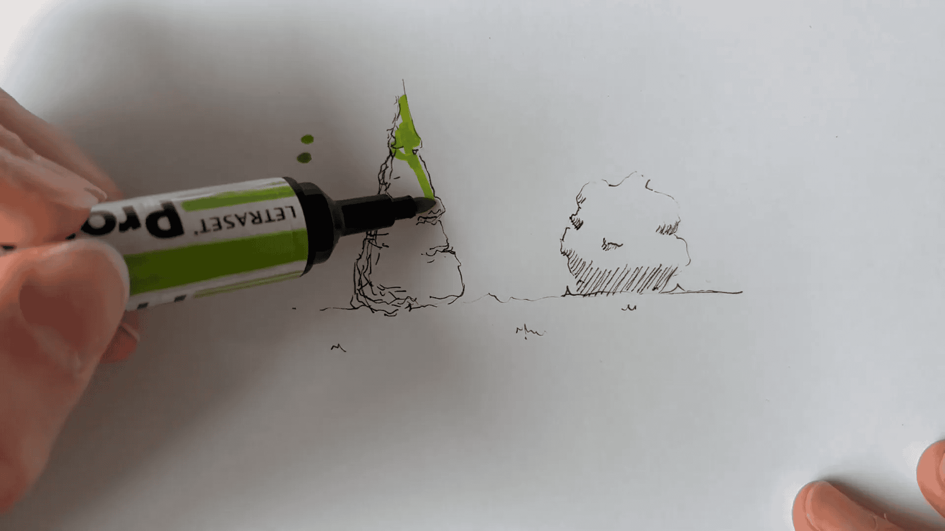 Coloration d'un arbre avec des feutres